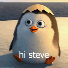 Hi Steve Penguin GIF - Hi Steve Penguin GIFs