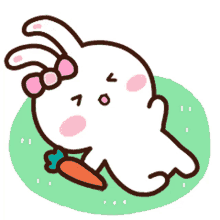 bunny cute tantrums carrot