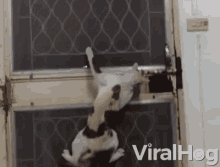 Sneak Out Squeeze GIF - Sneak Out Squeeze Escape GIFs