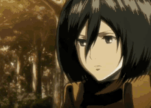 Anime Attack GIF - Anime Attack On GIFs