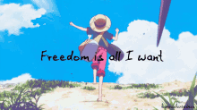 Freedom Beach GIF - Freedom Beach One Piece GIFs