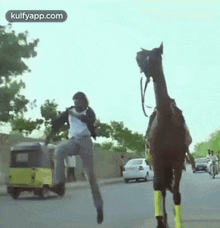 charan stunts in magadheera magadheera ramcharan latest horse
