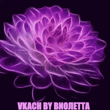 Vkach Violetta GIF - Vkach Violetta вкач GIFs
