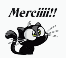 black cat merci thank you thanks thank you very much