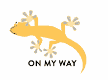 on my way coming gecko lizard walking