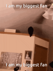 a picture of a cat on a wall with the caption " i am my biggest fan " above it