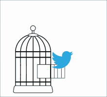Twitter Twitter Bird GIF