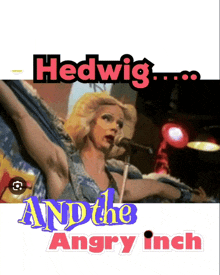 a woman singing into a microphone with the words hedwig and the angry inch