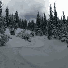Skiing Nature GIF - Skiing Nature Faceshot GIFs