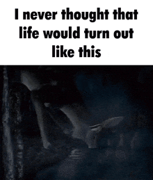 a poster that says i never thought that life would turn out like this on it