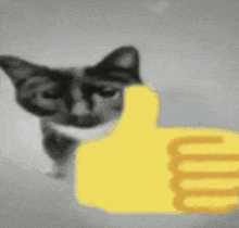 Thumbs Up Cat GIF - Thumbs Up Cat GIFs