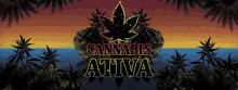 Yes Cannabis GIF - Yes Cannabis Ativa GIFs