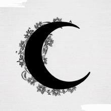 Arklith Crescent Moon GIF - Arklith Crescent Moon Black And White GIFs