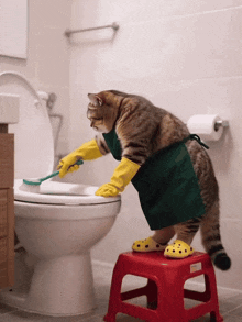 a cat in a green apron and yellow gloves is cleaning a toilet