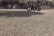 Go 林小q GIF - Go 林小q In A Hurry GIFs