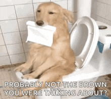 Dog Toilet GIF - Dog Toilet On The Toilet GIFs