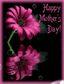 Sva Radio Fm Happy Mothers Day GIF