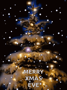 Merry Christmas Christmas GIF - Merry Christmas Christmas Christmas Tree GIFs