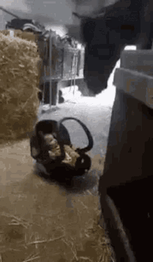 Nap Time Baby Sitter GIF - Nap Time Baby Sitter GIFs