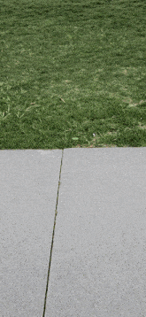 a grassy area with a sidewalk in the foreground and a concrete sidewalk in the background