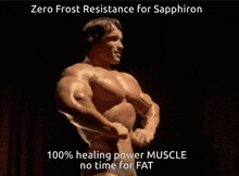 a picture of arnold schwarzenegger with the caption " zero frost resistance for sapphire "