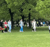 a group of people are walking through a grassy field in a park .