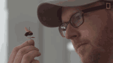 Bee Sample Have A Look GIF - Bee Sample Have A Look Inspecting Bee Sample GIFs
