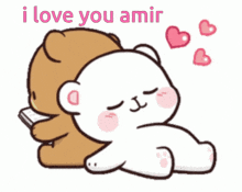a couple of teddy bears hugging each other with the words i love you amir