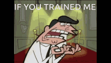 fairly odd parents if i had one if you trained me mr turner