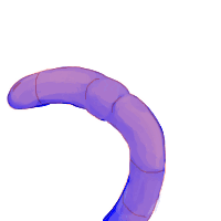 Worm Worms Sticker
