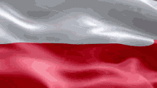 Poljska Zastava Flag GIF - Poljska Zastava Flag Wag GIFs
