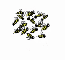 Hello Bees GIF