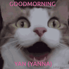 Goodmorning Gm GIF - Goodmorning Gm Yanna GIFs