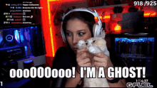 Ghost Cat Ghost GIF