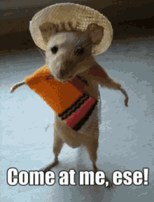 GIF