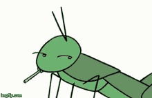 Whats Up - Grasshopper GIF - Smooth Grasshopper Smoking Smoke GIFs