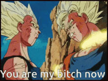 Vegeta Goku GIF - Vegeta Goku You Are My Bitch Now GIFs