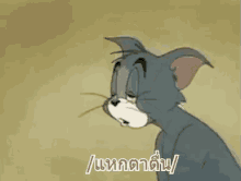 ทอมแอนด์เจอร์รี่ แหกตาตื่น GIF - Tom And Jerry Open Eyes Bloodshot Eyes GIFs