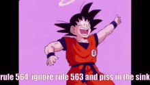 Goku Rules Rules GIF - Goku Rules Rules 564 GIFs