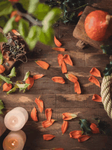 Laumiere Gourmet Taste The Luxury GIF