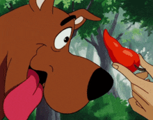 scooby doo looking at a red pepper with a person holding it