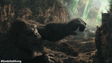 Hi Kong GIF - Hi Kong Godzilla X Kong The New Empire GIFs