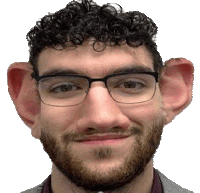 a man wearing glasses and a fake ear is smiling .