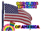 an american flag with the words god bless the gays of america on it