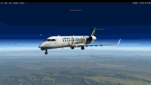 oops bird status airplane flight simulator