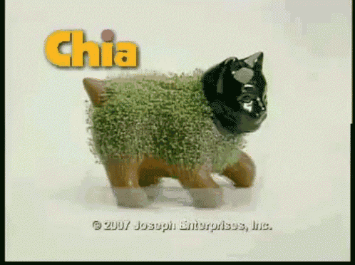 Cha Cha Cha Chia GIFs Tenor