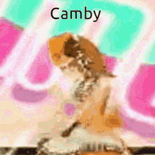 Camby Cammy Nation GIF - Camby Cammy Nation Httpcammy GIFs
