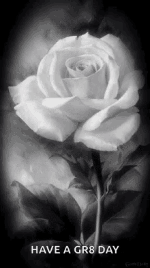 Rose Black GIF - Rose Black White Rose GIFs
