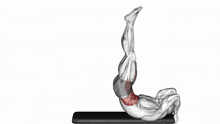 a 3d model of a person doing a crunch with their legs crossed .