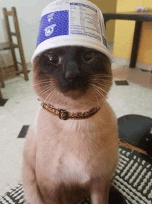 a cat wearing a bucket on its head that says informacion nutrimental on it
